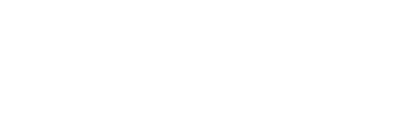 Suporte - Codein logo